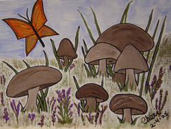 The Mushroom Patch